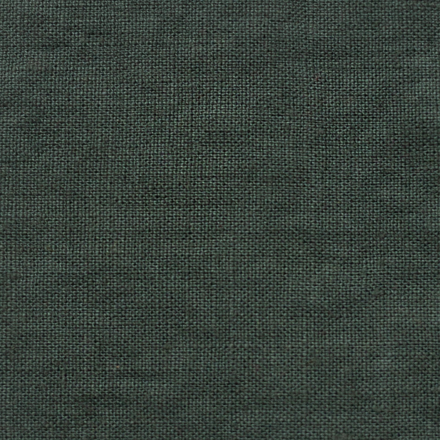 Unwashed Wide Forest Green lino Fabric 160 g/sq.m — naturalusdrabuziai.lt