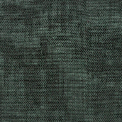 Unwashed Wide Forest Green lino Fabric 160 g/sq.m — naturalusdrabuziai.lt